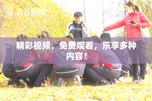 精彩视频，免费观看，乐享多种内容！