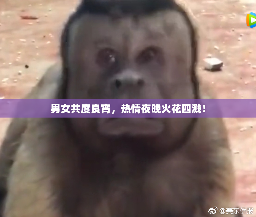 男女共度良宵，热情夜晚火花四溅！