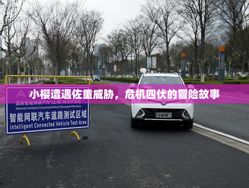 小樱遭遇佐重威胁，危机四伏的冒险故事