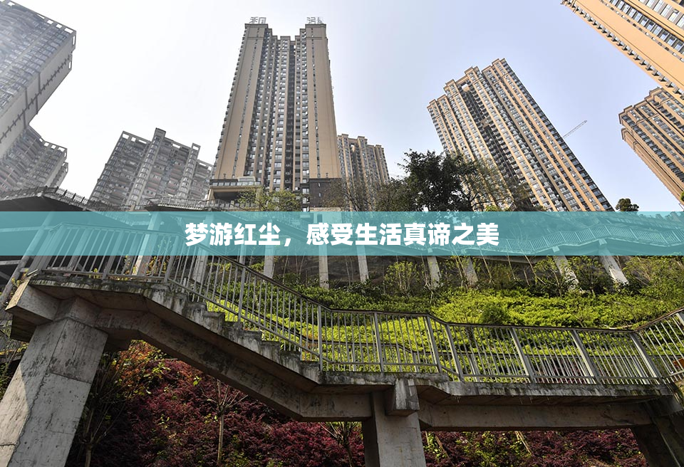 梦游红尘，感受生活真谛之美