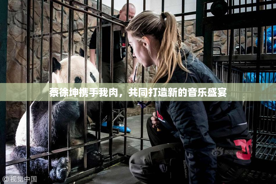 蔡徐坤携手我肉，共同打造新的音乐盛宴
