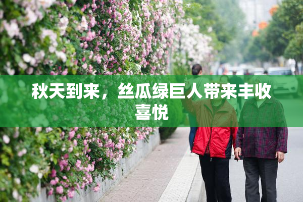 秋天到来，丝瓜绿巨人带来丰收喜悦