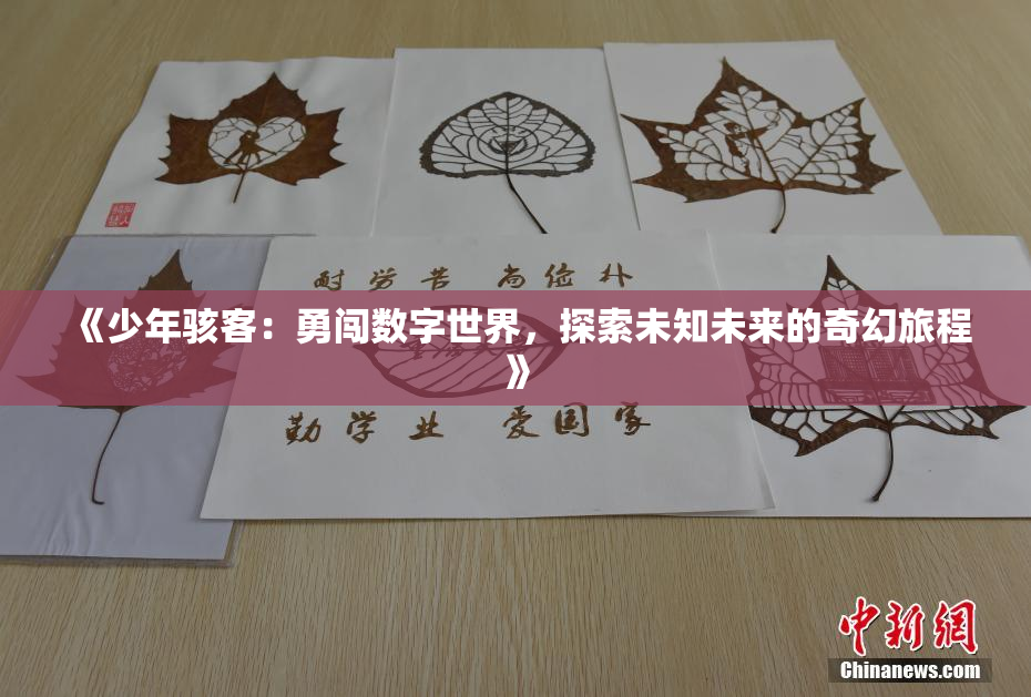 《少年骇客：勇闯数字世界，探索未知未来的奇幻旅程》