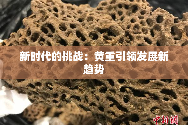 新时代的挑战：黄重引领发展新趋势