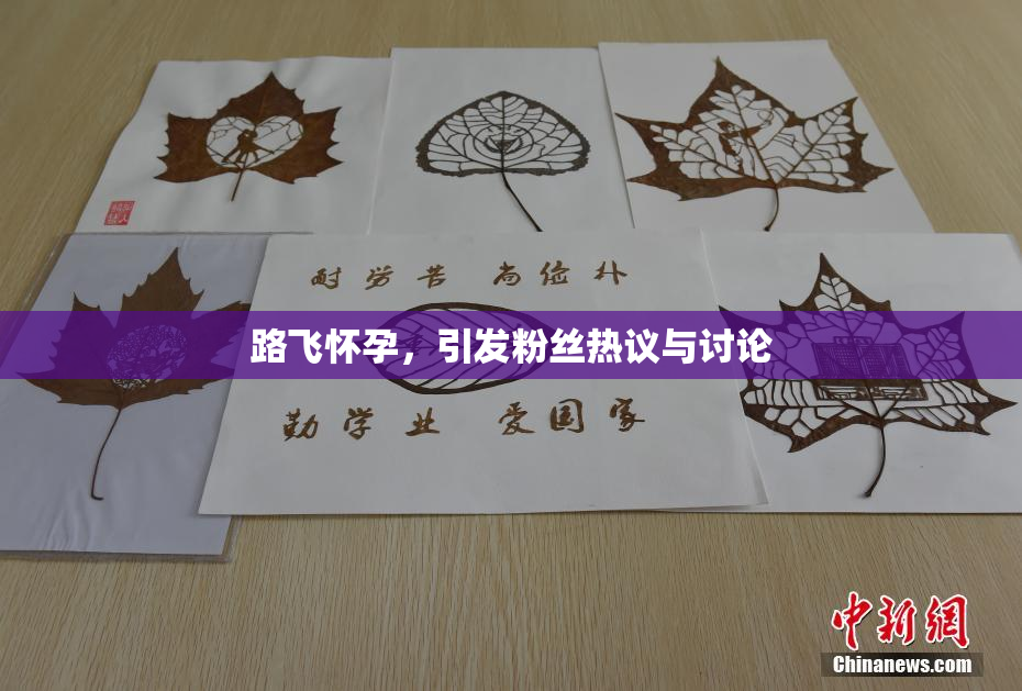 路飞怀孕，引发粉丝热议与讨论