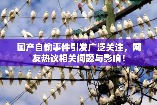 国产自偷事件引发广泛关注，网友热议相关问题与影响！