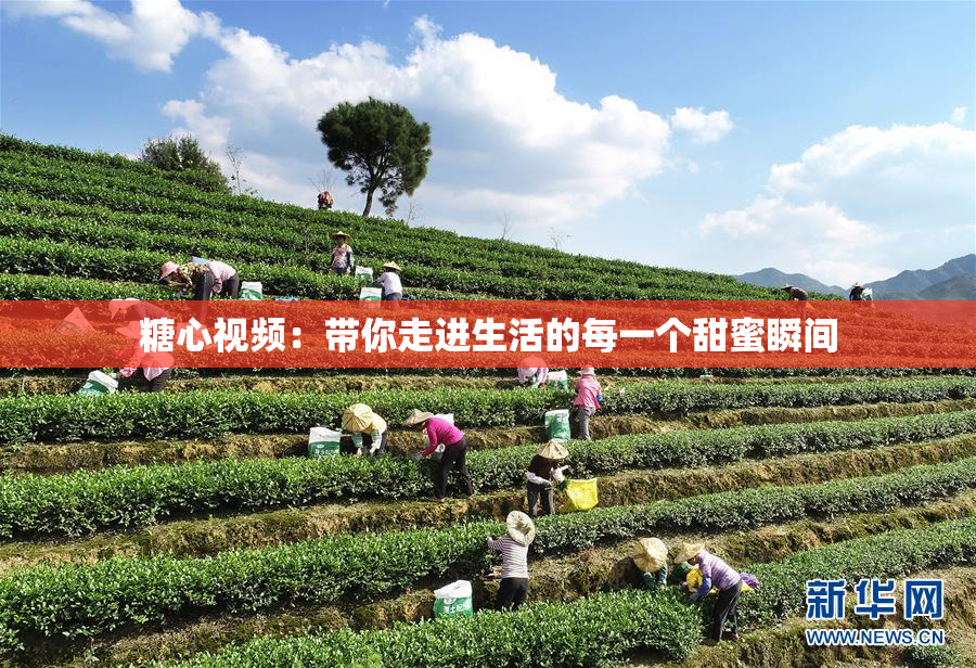 糖心视频：带你走进生活的每一个甜蜜瞬间