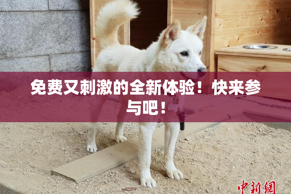 免费又刺激的全新体验！快来参与吧！