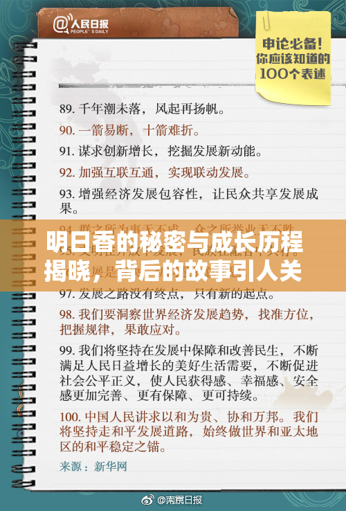 明日香的秘密与成长历程揭晓，背后的故事引人关注