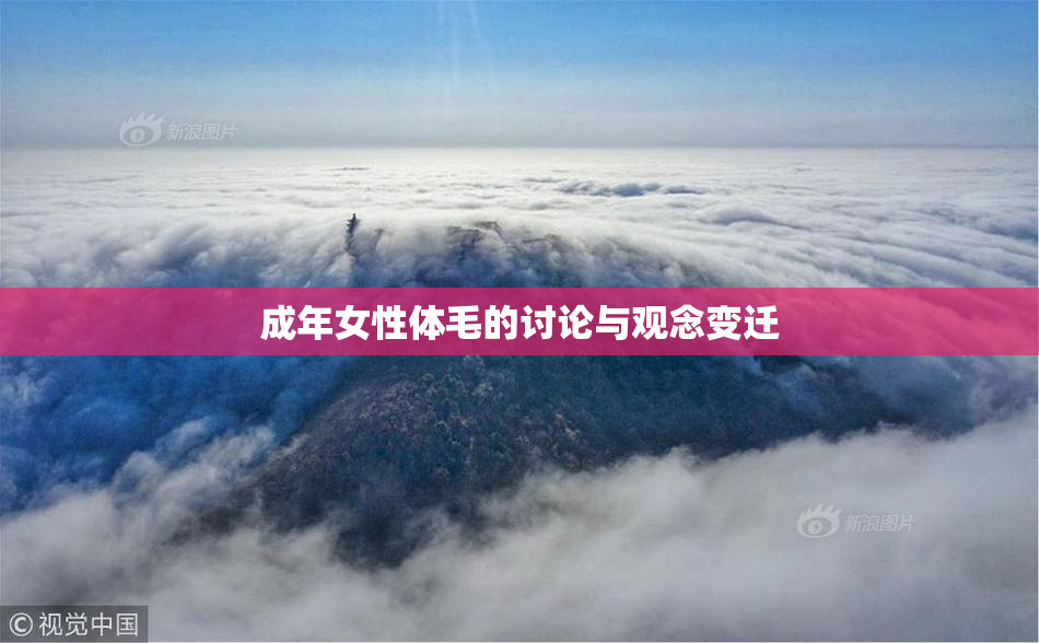 成年女性体毛的讨论与观念变迁