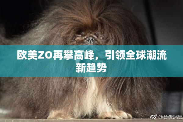 欧美ZO再攀高峰，引领全球潮流新趋势