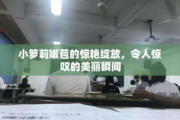 小箩莉嫩苞的惊艳绽放，令人惊叹的美丽瞬间