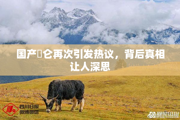 国产婬仑再次引发热议，背后真相让人深思