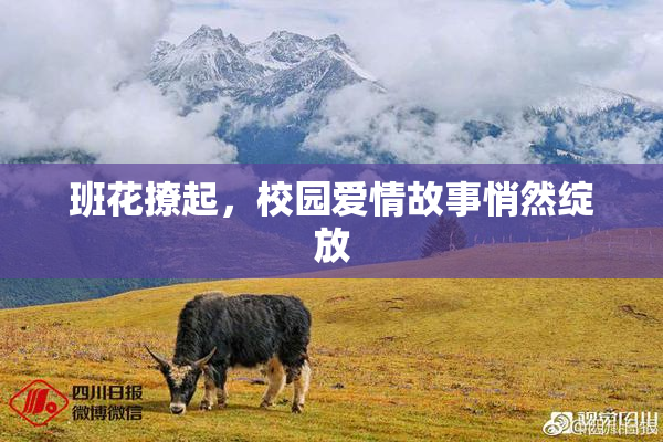 班花撩起，校园爱情故事悄然绽放