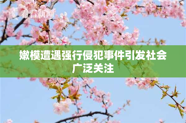 嫩模遭遇强行侵犯事件引发社会广泛关注