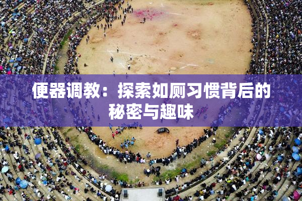 便器调教：探索如厕习惯背后的秘密与趣味