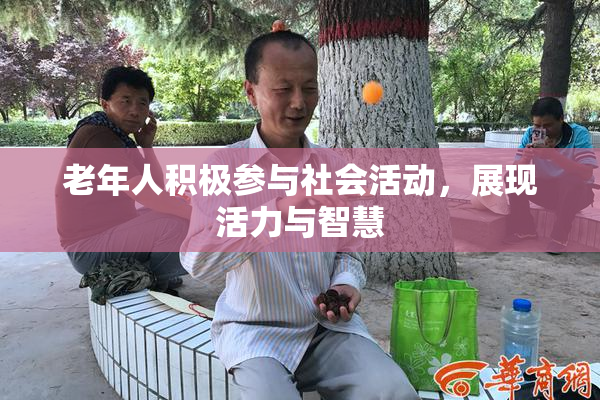 老年人积极参与社会活动，展现活力与智慧