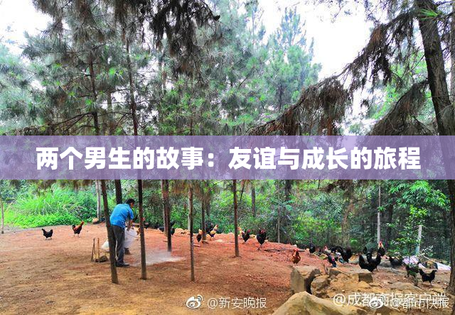 两个男生的故事：友谊与成长的旅程