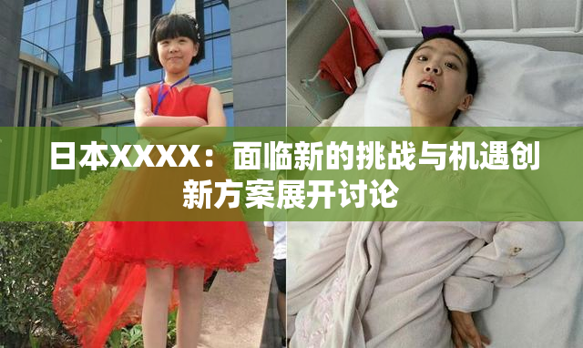 日本XXXX：面临新的挑战与机遇创新方案展开讨论