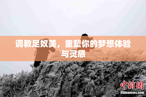 调教足奴美，重塑你的梦想体验与灵感