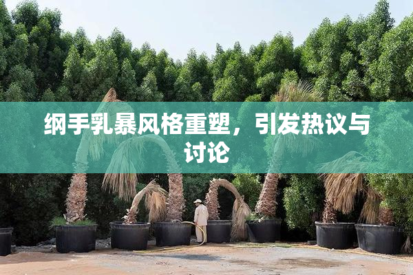 纲手乳暴风格重塑，引发热议与讨论