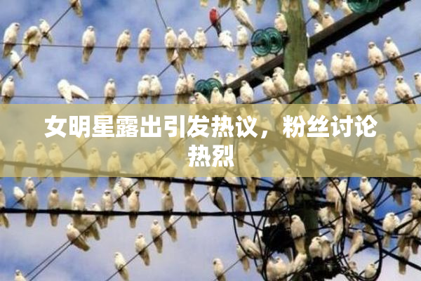 女明星露出引发热议，粉丝讨论热烈