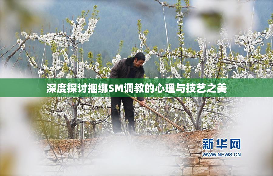 深度探讨捆绑SM调教的心理与技艺之美