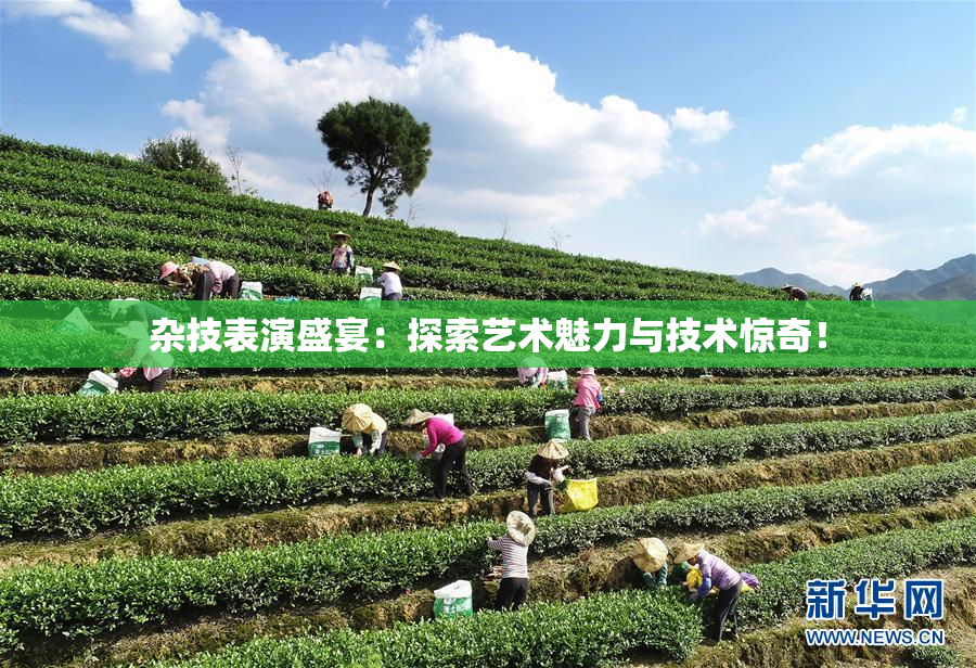 杂技表演盛宴：探索艺术魅力与技术惊奇！