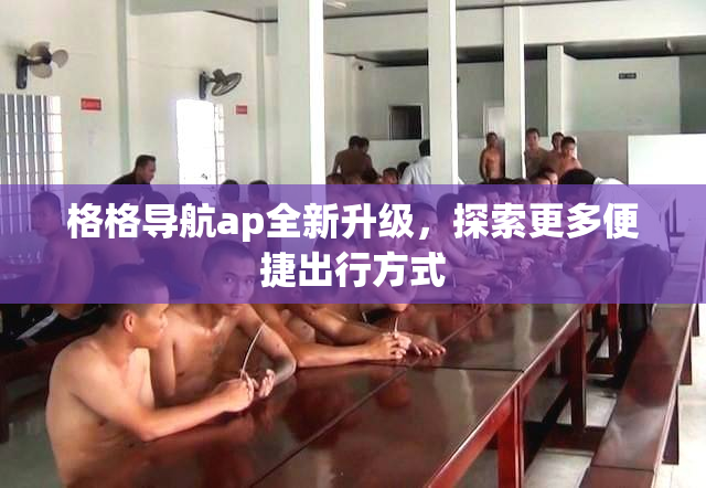 格格导航ap全新升级，探索更多便捷出行方式