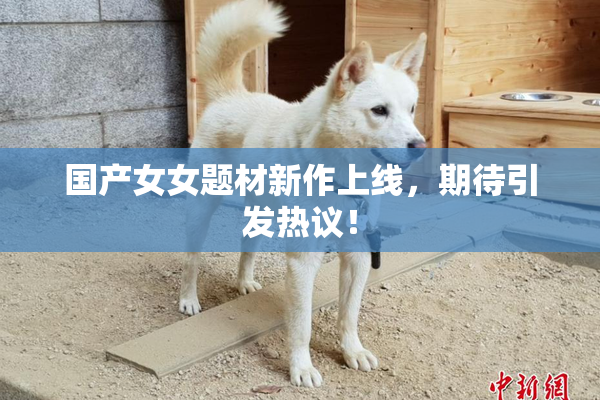 国产女女题材新作上线，期待引发热议！