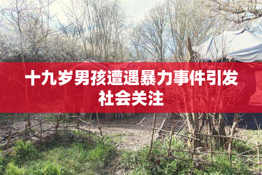 十九岁男孩遭遇暴力事件引发社会关注
