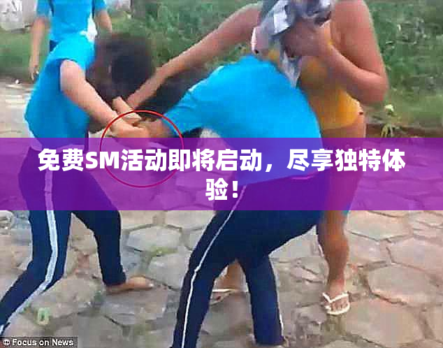 免费SM活动即将启动，尽享独特体验！