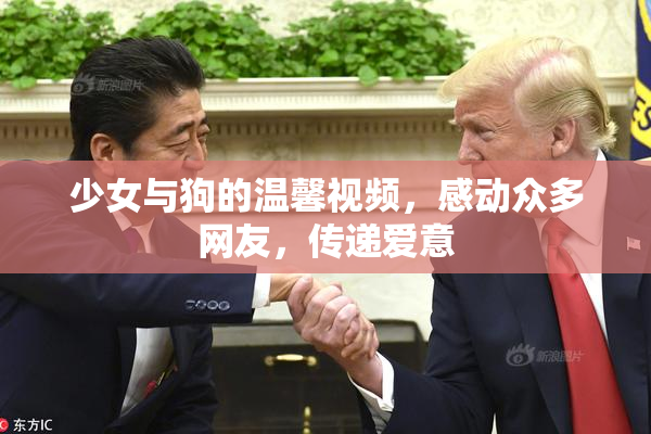 少女与狗的温馨视频，感动众多网友，传递爱意