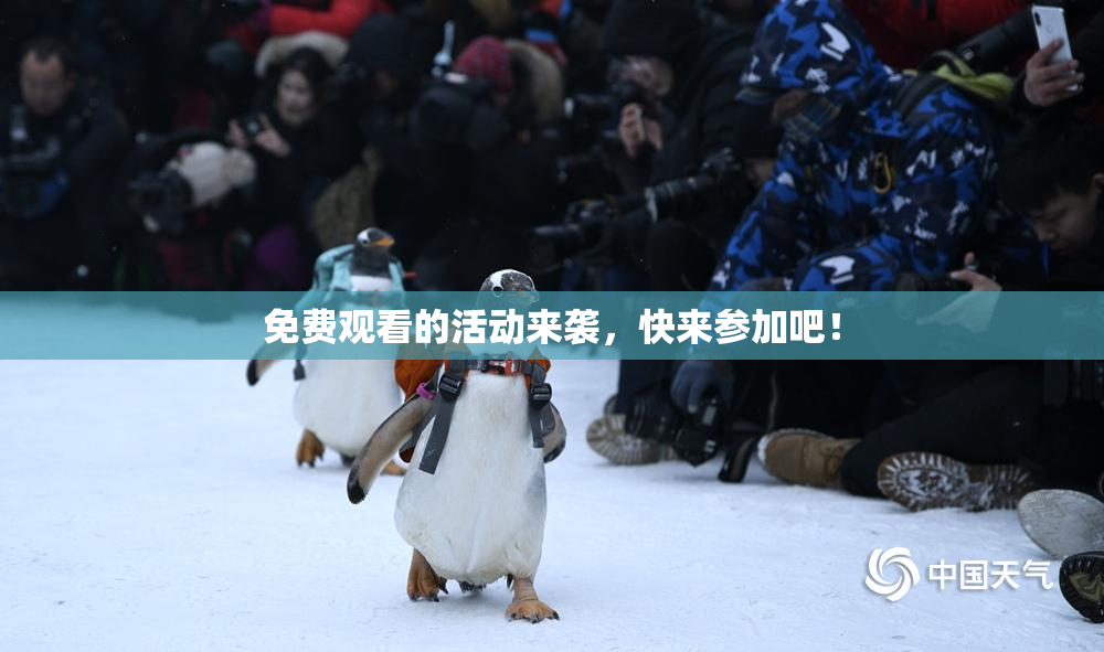 免费观看的活动来袭，快来参加吧！