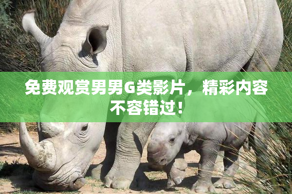 免费观赏男男G类影片，精彩内容不容错过！