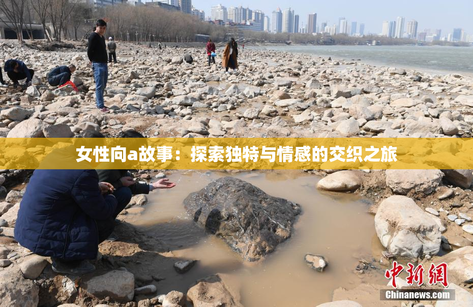 女性向a故事：探索独特与情感的交织之旅