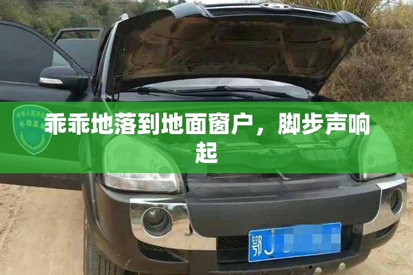 乖乖地落到地面窗户，脚步声响起