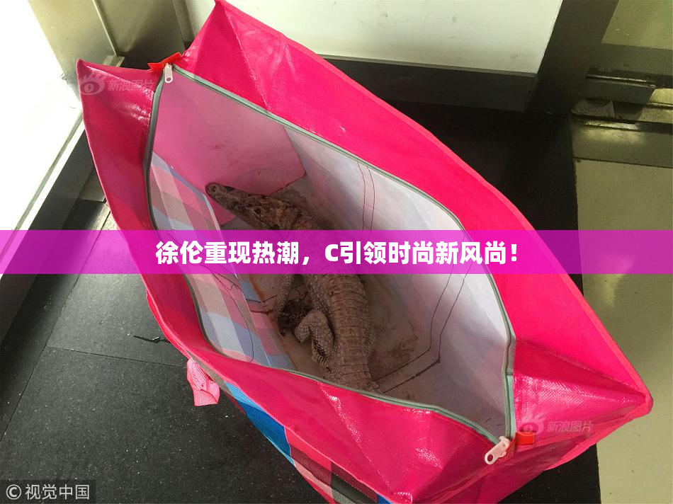 徐伦重现热潮，C引领时尚新风尚！