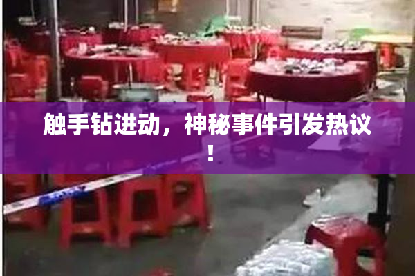 触手钻进动，神秘事件引发热议！