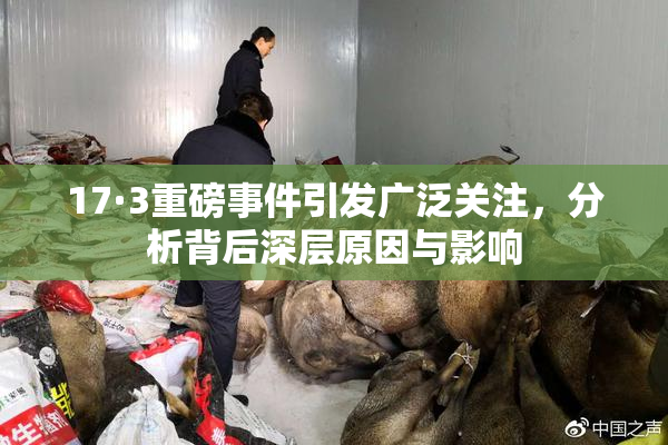 17·3重磅事件引发广泛关注，分析背后深层原因与影响