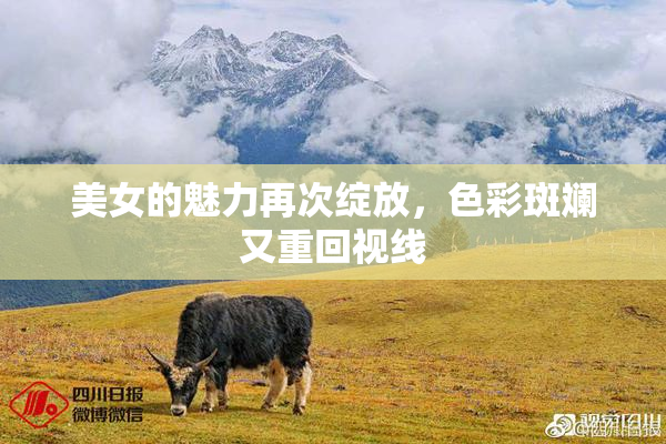 美女的魅力再次绽放，色彩斑斓又重回视线