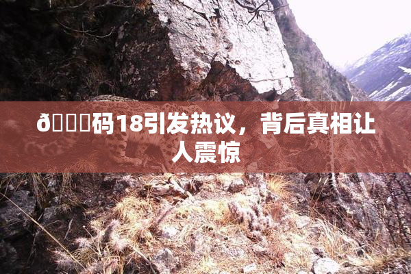 🈚码18引发热议，背后真相让人震惊