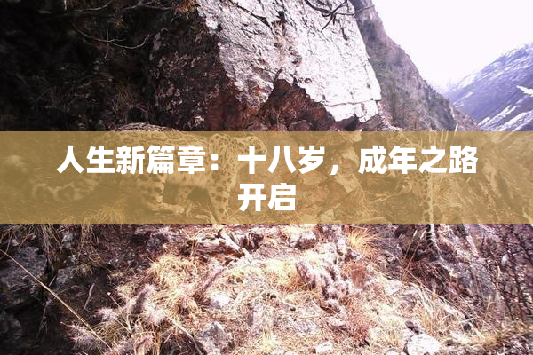 人生新篇章：十八岁，成年之路开启