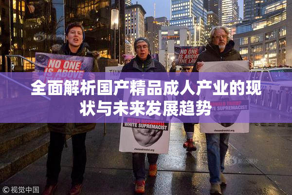 全面解析国产精品成人产业的现状与未来发展趋势