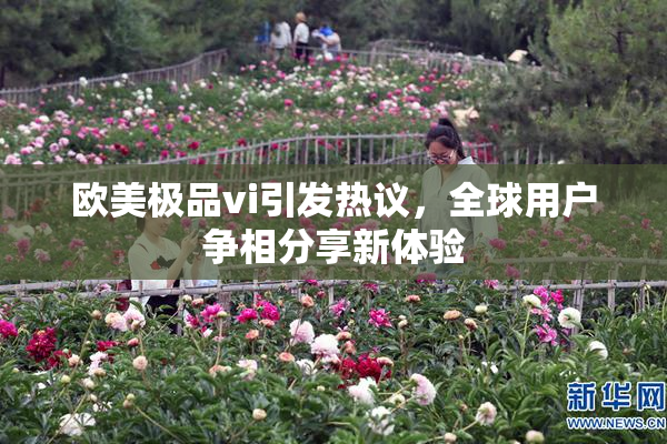 欧美极品vi引发热议，全球用户争相分享新体验
