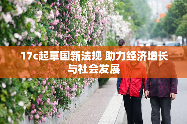 17c起草国新法规 助力经济增长与社会发展