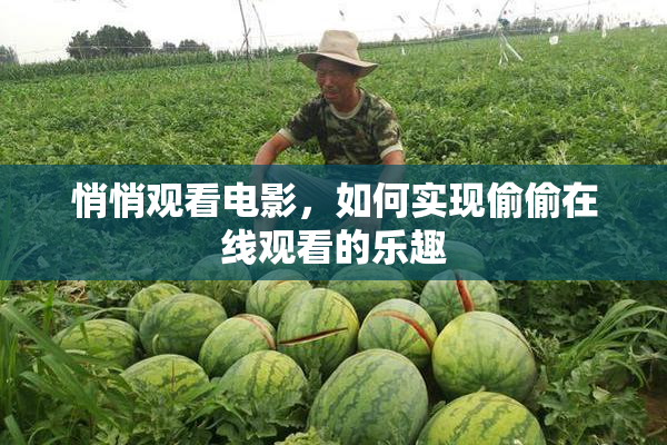 悄悄观看电影，如何实现偷偷在线观看的乐趣
