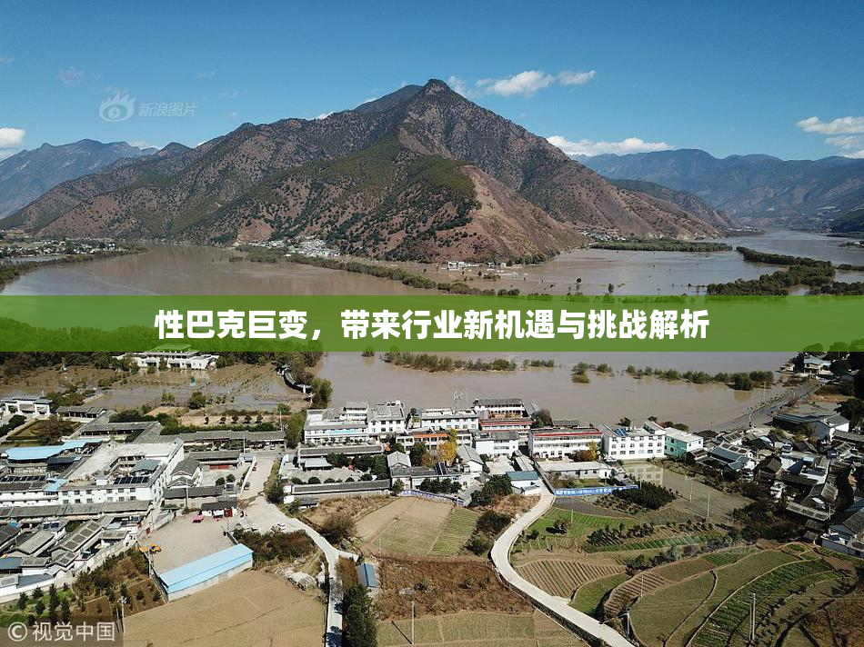 性巴克巨变，带来行业新机遇与挑战解析