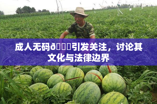 成人无码🔞引发关注，讨论其文化与法律边界