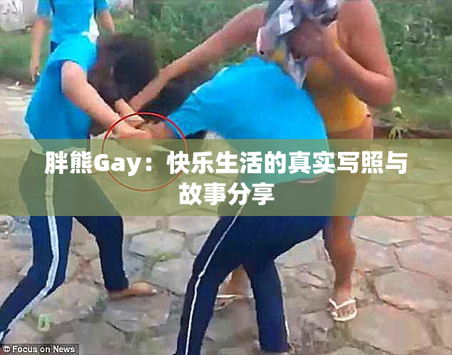 胖熊Gay：快乐生活的真实写照与故事分享